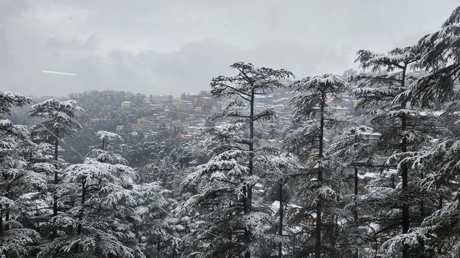 Mountain Zest- Simla Royale Near Mall Road Free Pickup From Railway Station Simla מראה חיצוני תמונה